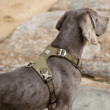 Durable Water Resistant Dog Vest Harness