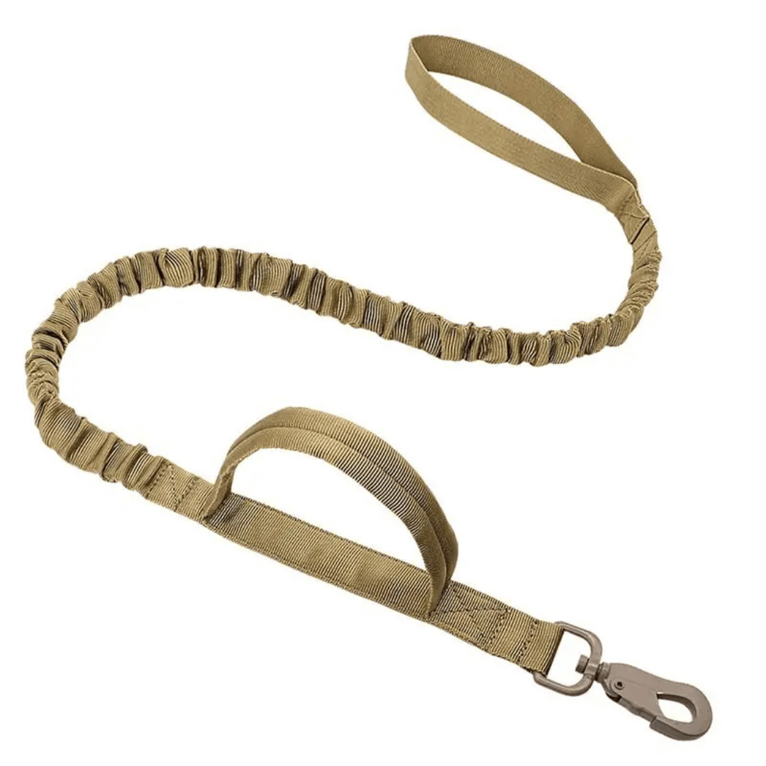 Durable Outdoor Pet AirTag Collar & Leash Set