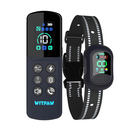 Effective Remote Dog Trainer with Voice, Vibe & Shock Alerts - LifyPet