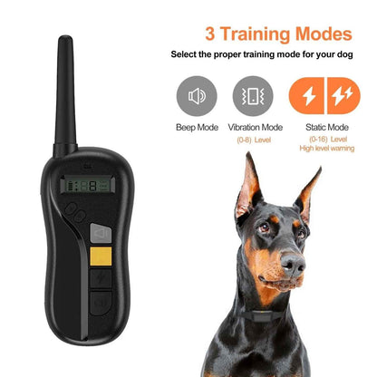Long Range Rechargeable Dog Training Collar & Remote