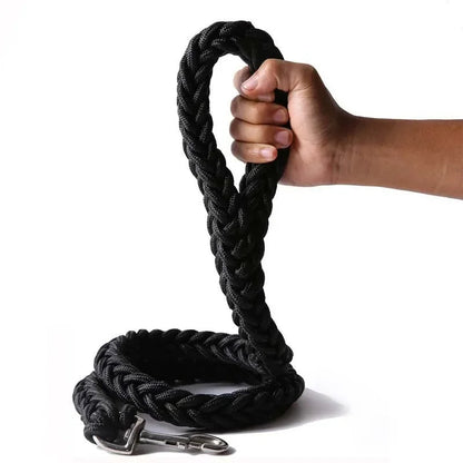 Tough Long-Lasting Braided Dog Leash - LifyPet