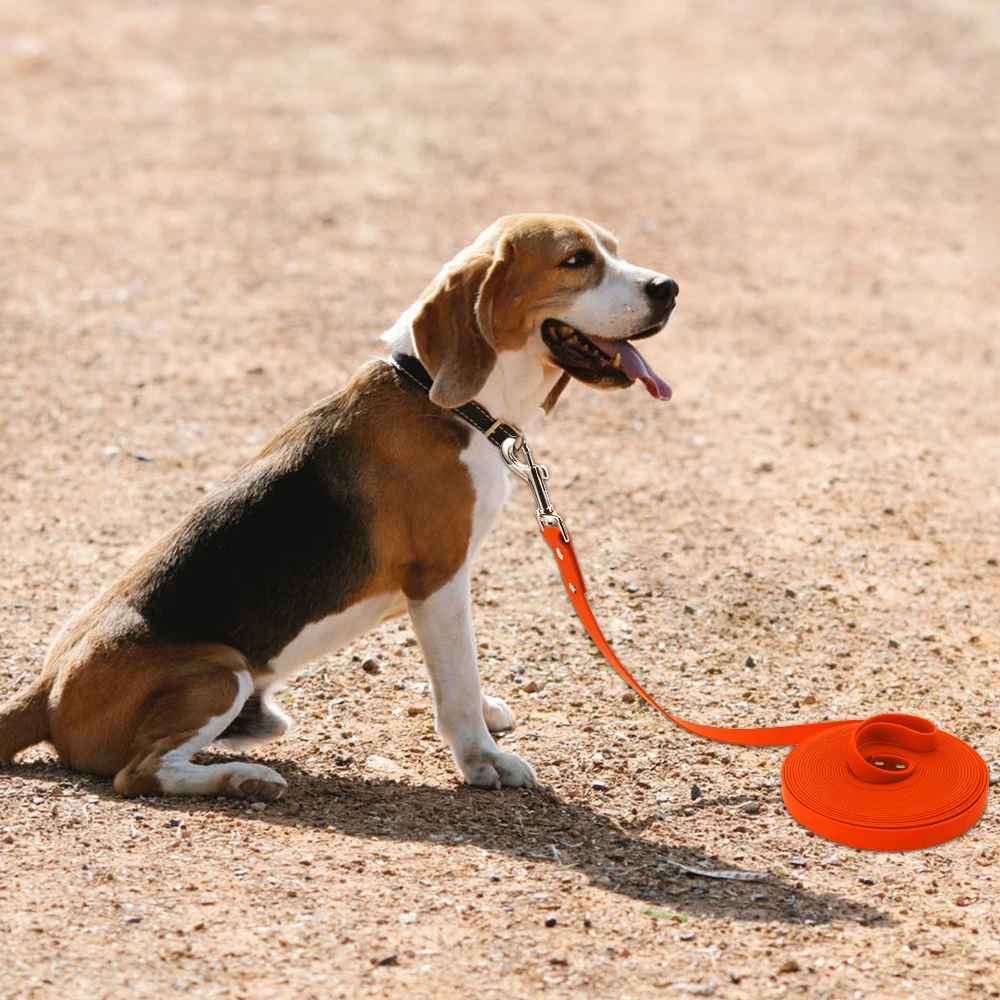 Durable Long Dog Leash Made From Water Resistant PVC