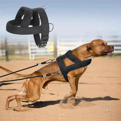 Tough Dog Pulling Harness with Padded Support