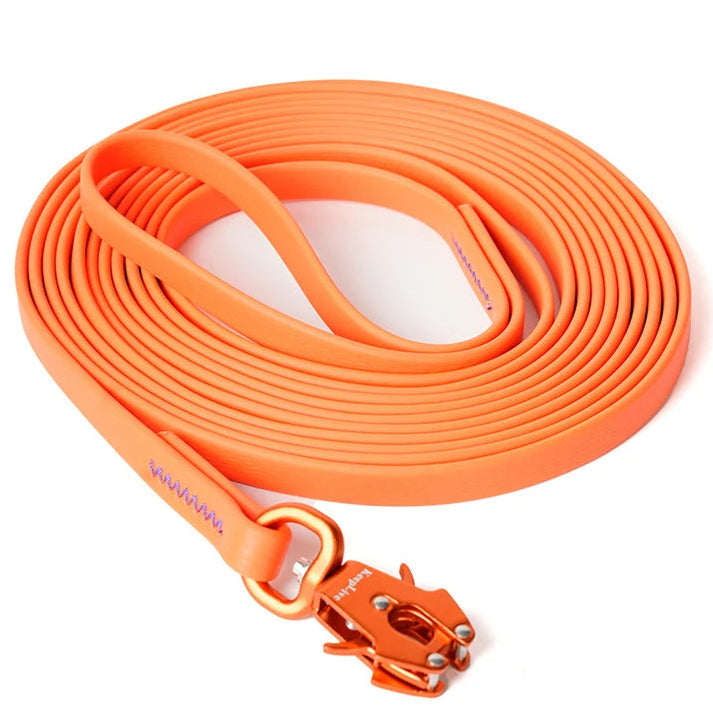 Durable Long Dog Leash with Quick Release Clip