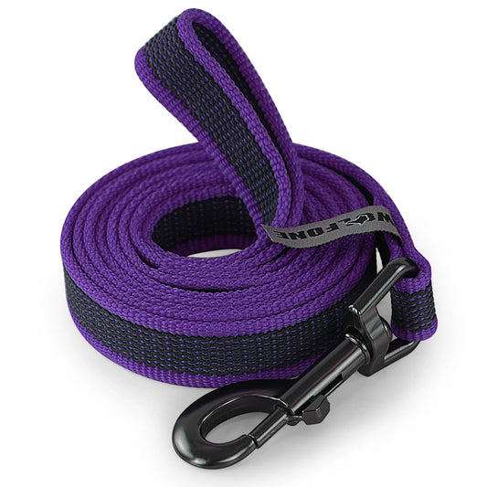Strong Heavy Duty Dog Leash with Padded Handle - LifyPet