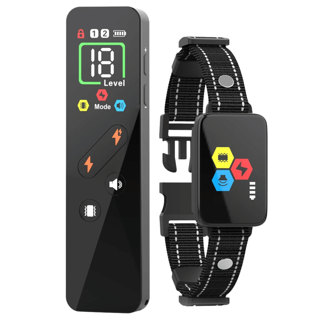 Remote Control Pet Training Collar - LifyPet