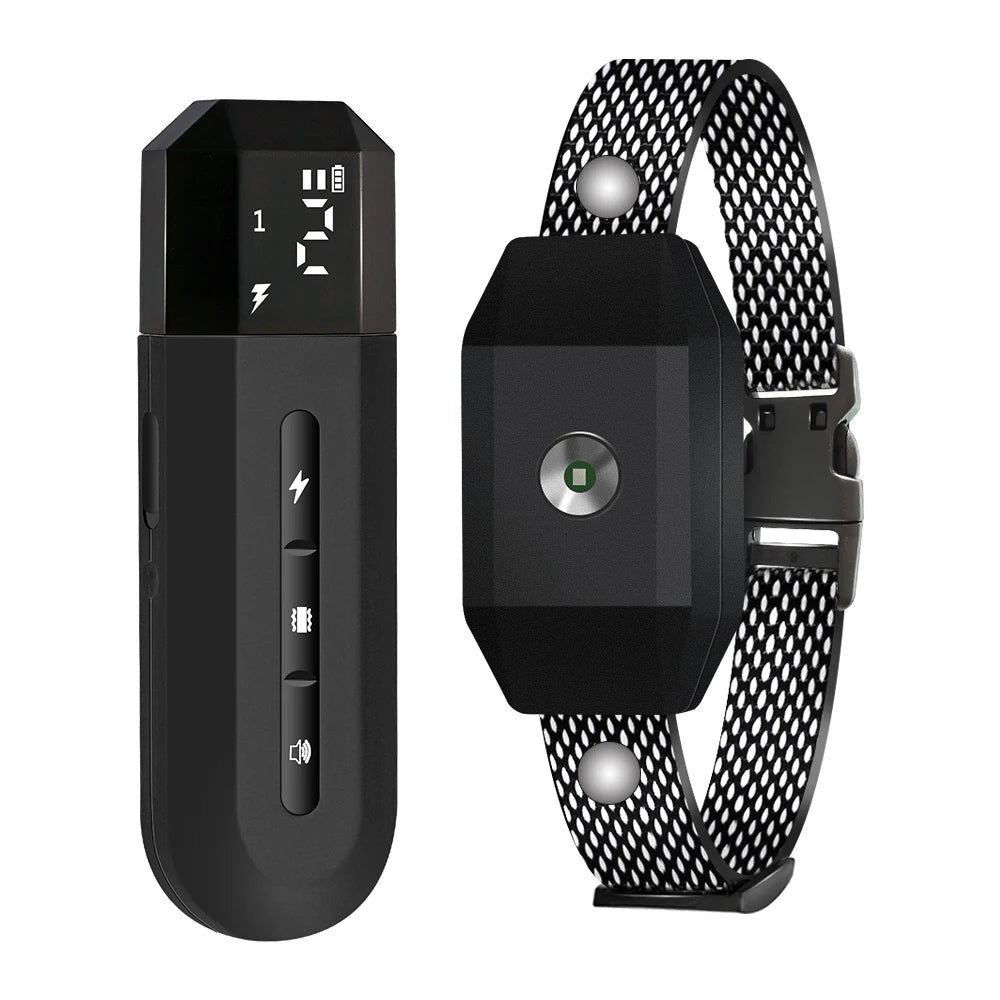 Long Range Wireless Dog Trainer Collar with Remote