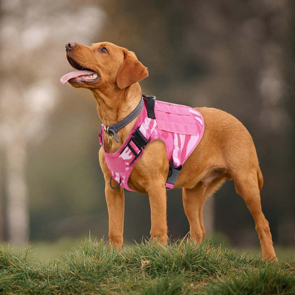 Durable Camo Dog Vest | Outdoor Pet Harness