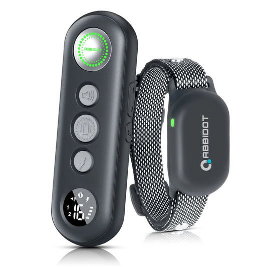 Effective Waterproof Remote Dog Training Collar System - LifyPet