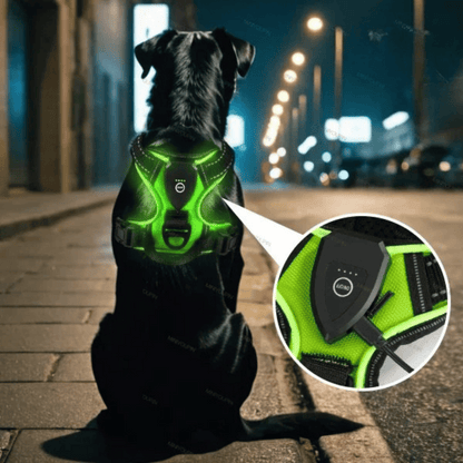 Visible LED Dog Vest for Nighttime Walking Safety