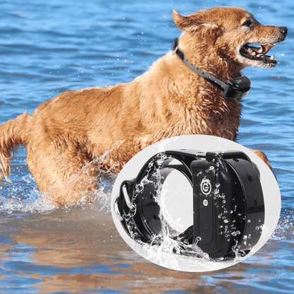 Long Range Wireless Pet Containment Training Collar