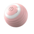 Interactive Cat Ball