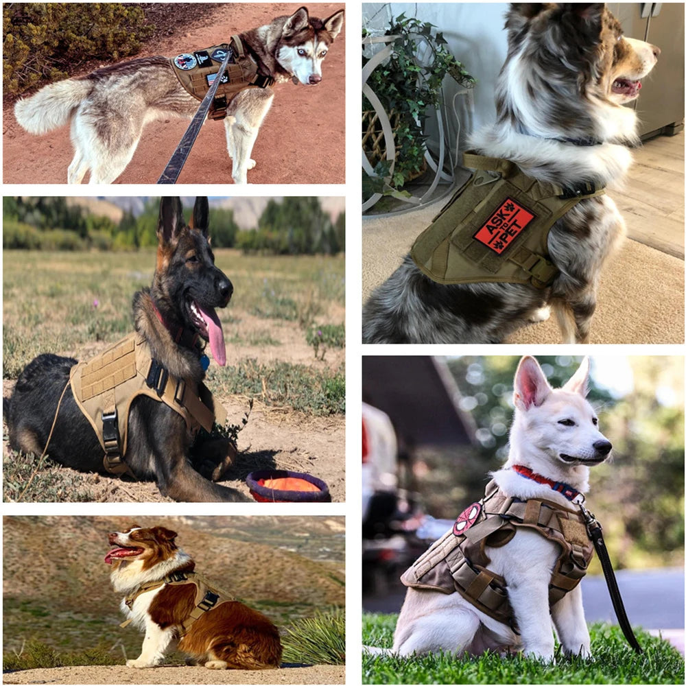 Strong Durable Dog Vest with Handle