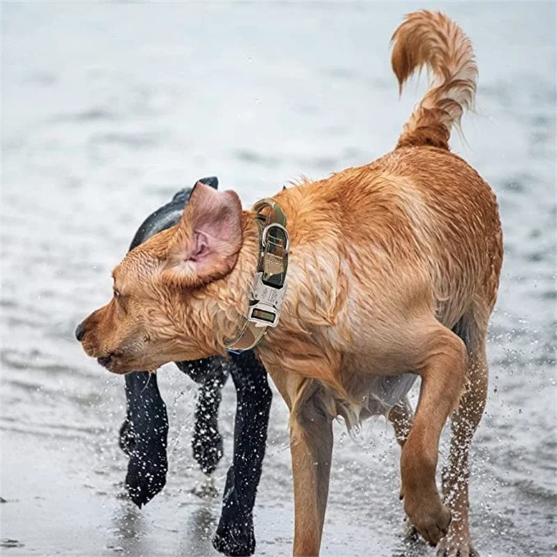 Strong Durable Tactical Dog Collar for Big Dogs