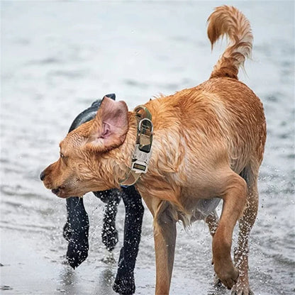 Strong Durable Tactical Dog Collar for Big Dogs