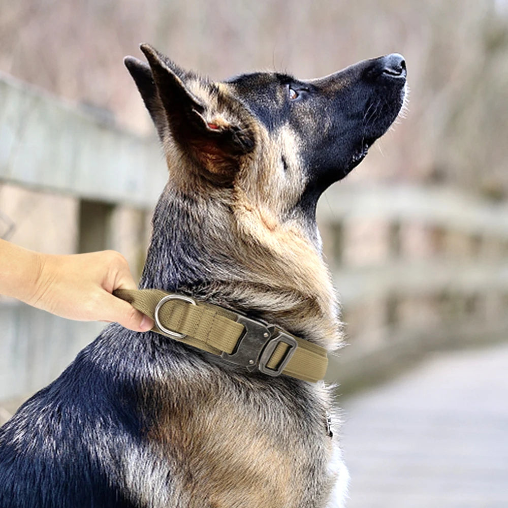 Strong Durable Tactical Dog Collar for Big Dogs
