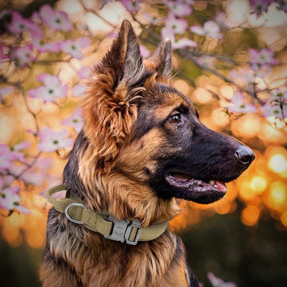 Strong Durable Tactical Dog Collar for Big Dogs