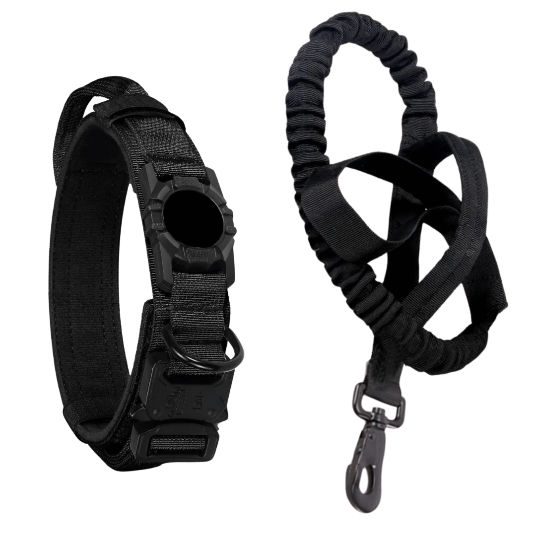 Durable Outdoor Pet AirTag Collar & Leash Set