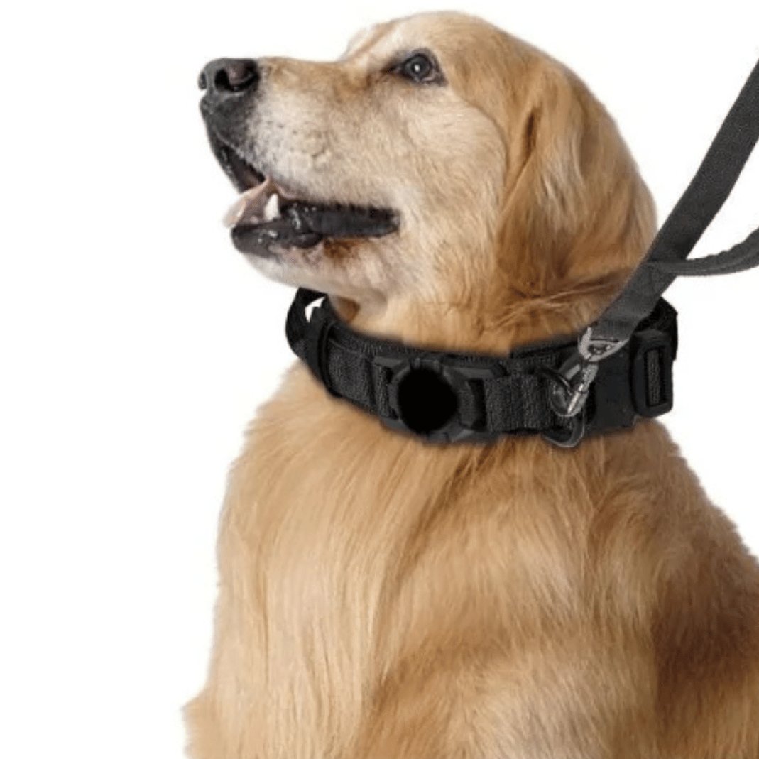 Durable Outdoor Pet AirTag Collar & Leash Set