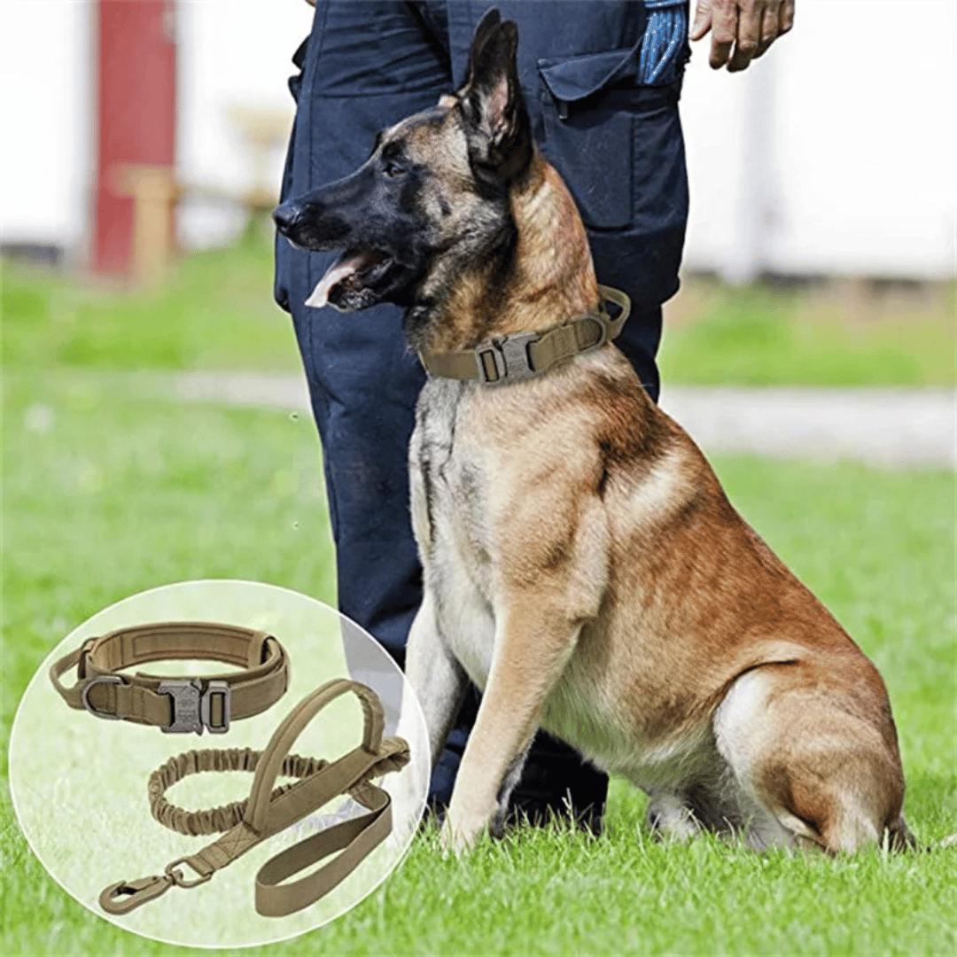 Strong Tactical Dog Collar and Leash Set for Big Dogs