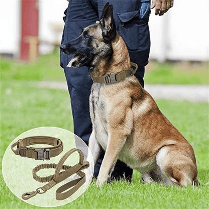 Strong Tactical Dog Collar and Leash Set for Big Dogs