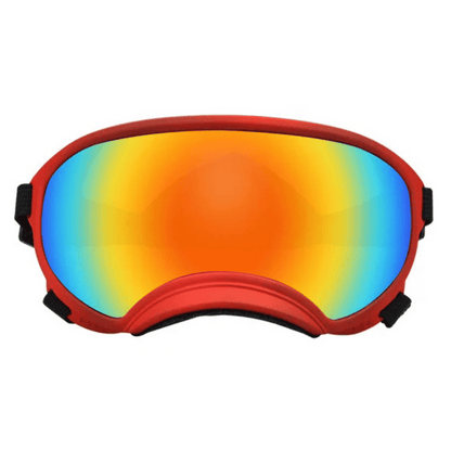 Trendy Pet Shades | Waterproof Dog Sun Glasses