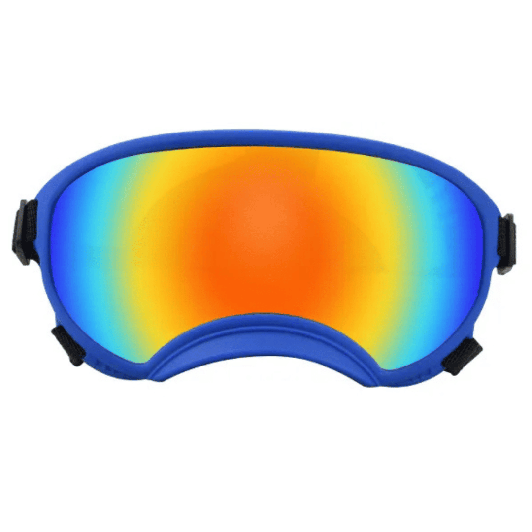 Trendy Pet Shades | Waterproof Dog Sun Glasses