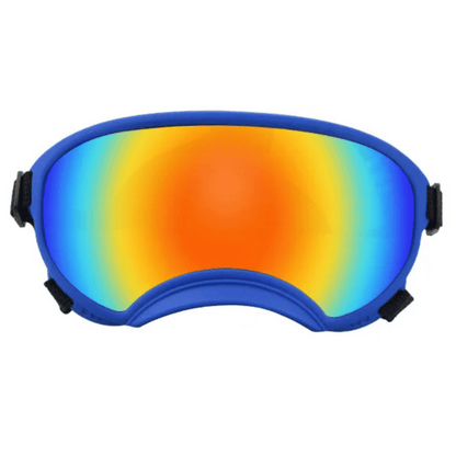 Trendy Pet Shades | Waterproof Dog Sun Glasses