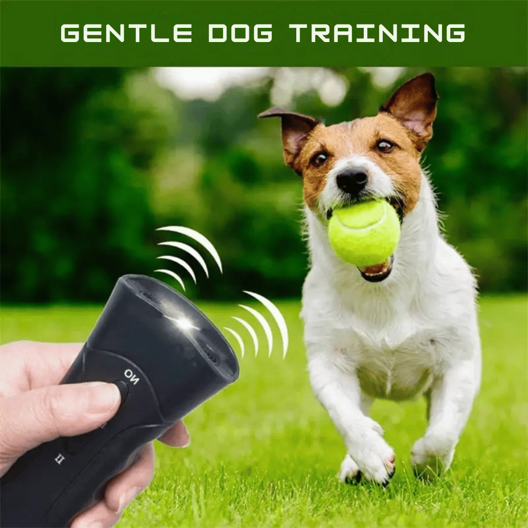 Effective Pet Bark Stopper with Flashlight