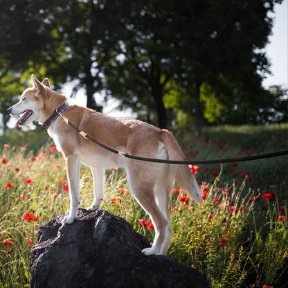 Easy Walk Dog Leash with Strong Adjustable Strap