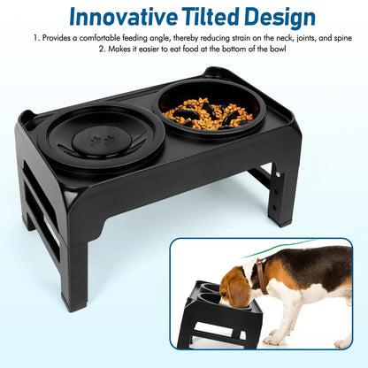 Elevated Dog Feeder with Anti-Gulping Dog Food Bowls
