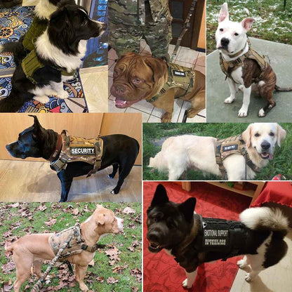 Tough Dog Training Vest with Leash and Pouch Set