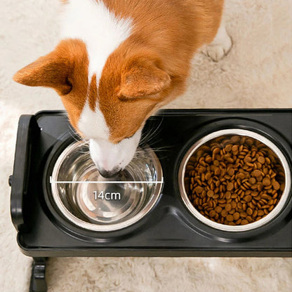 Elevated Dog Feeder with Two Stainless Steel Pet Bowls