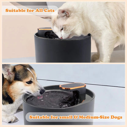 Quiet Pet Water Fountain with Motion Sensor & Night Light