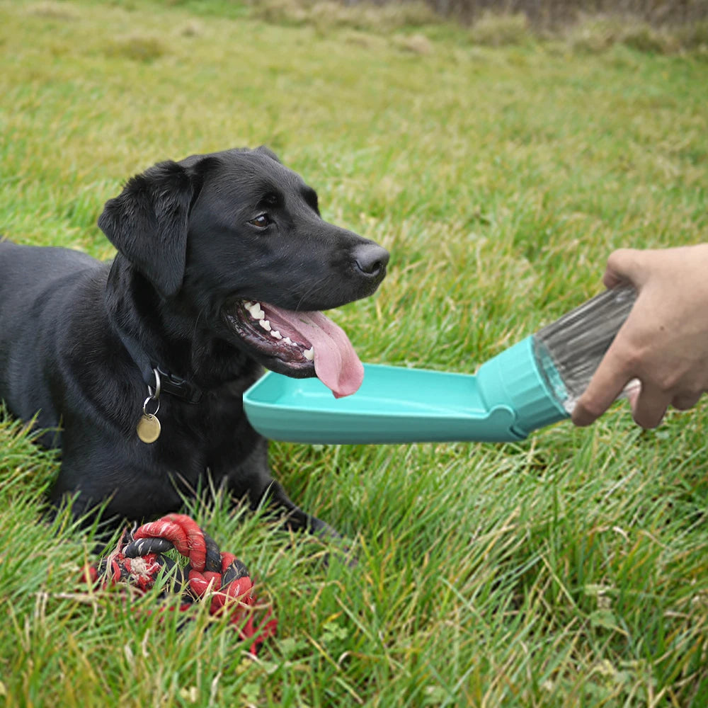 Big Collapsible Pet Water Bottle 550ml
