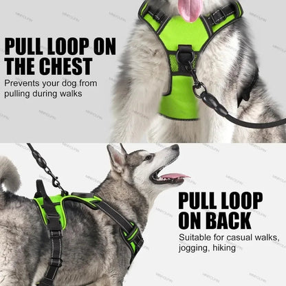 Visible LED Dog Vest for Nighttime Walking Safety