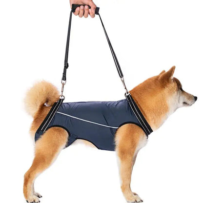 Comfortable Support Harness for Senior Dogs - LifyPet
