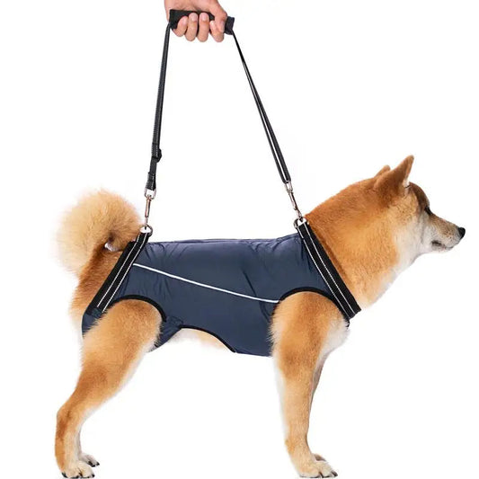 Comfortable Support Harness for Senior Dogs - LifyPet