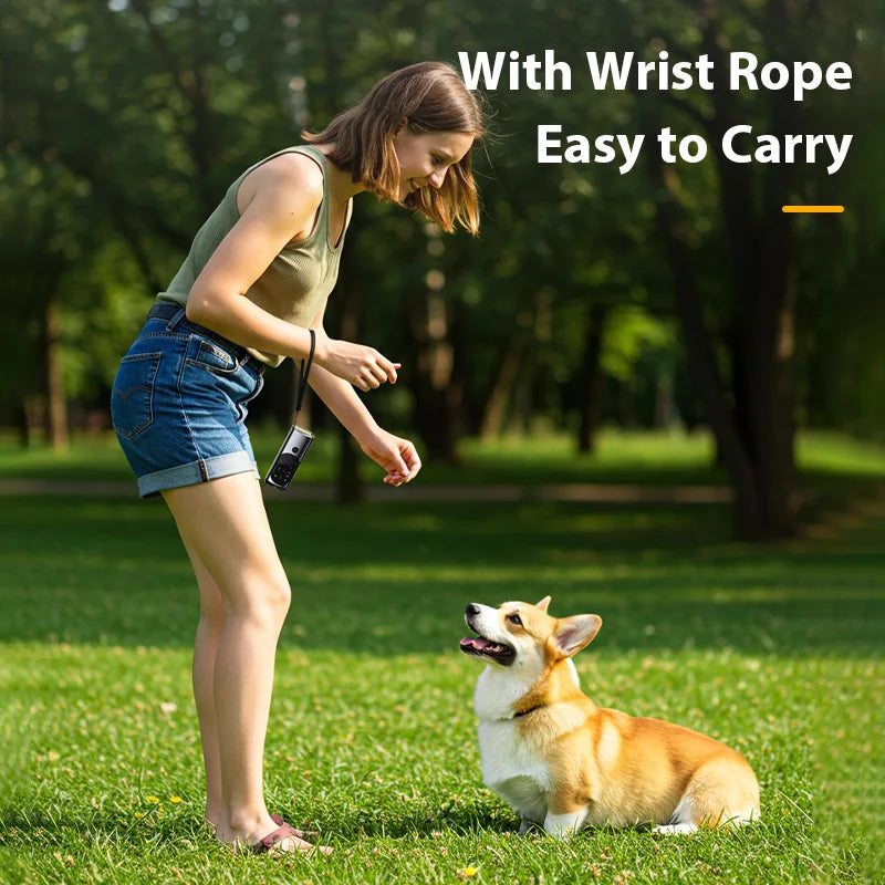 Portable Dog Trainer with Ultrasonic Bark Control and Flashlight