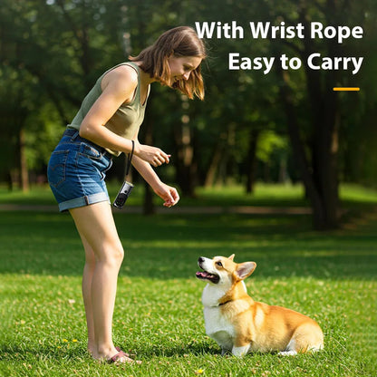 Portable Dog Trainer with Ultrasonic Bark Control and Flashlight