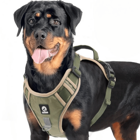 Comfortable Dog Vest Harness for Easy Walking Control - LifyPet