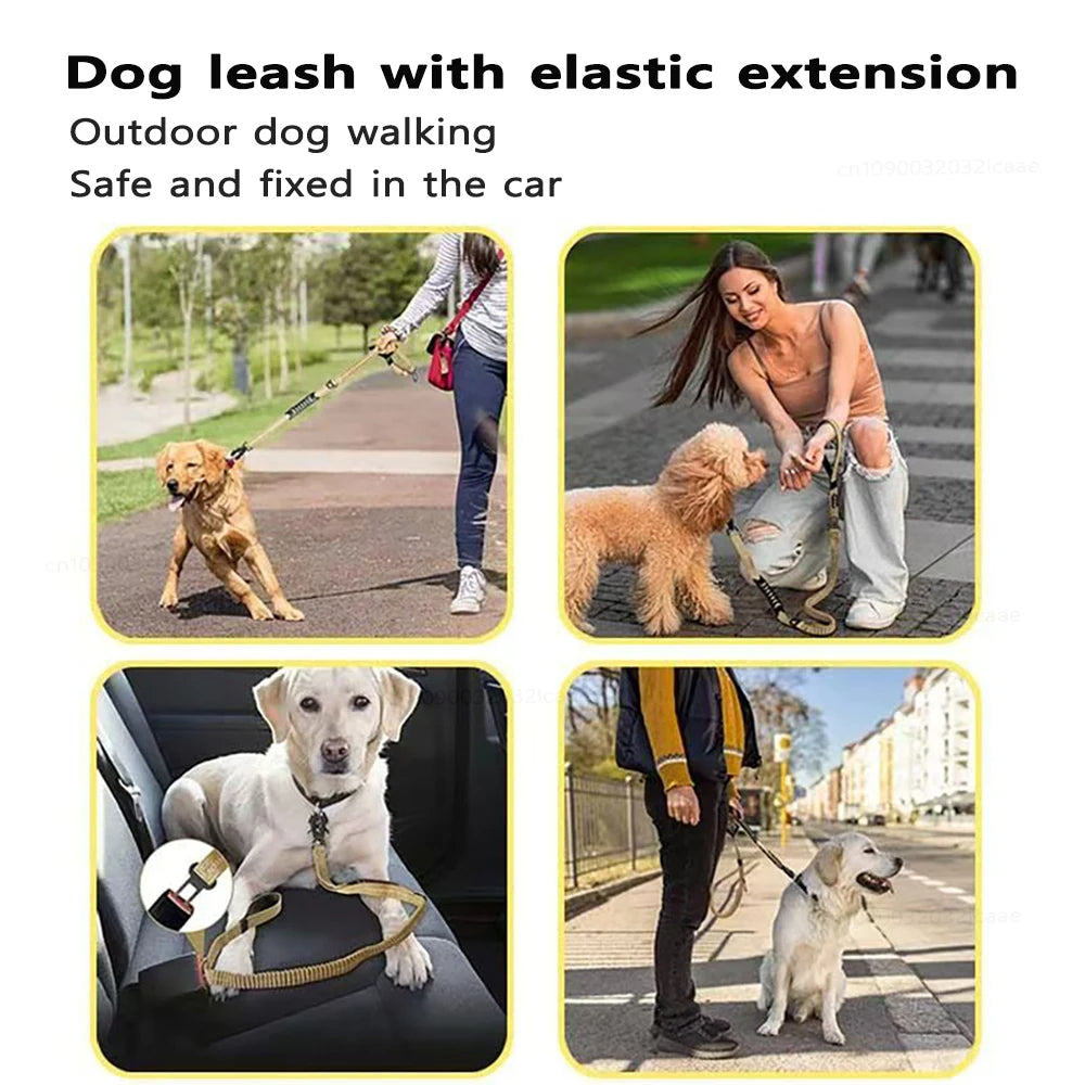Strong Pet Leash and Seatbelt with Shock Absorbing Strap