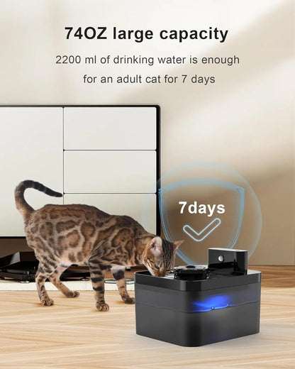 Pet Water Dispenser with Sensor and USB Charging