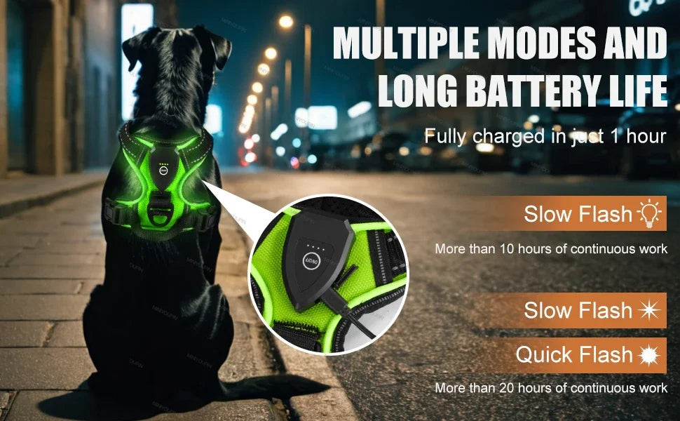 Visible LED Dog Vest for Nighttime Walking Safety