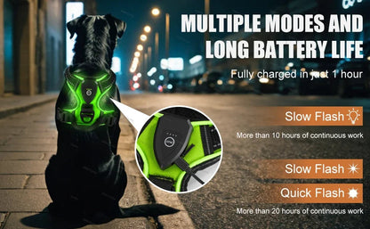 Visible LED Dog Vest for Nighttime Walking Safety