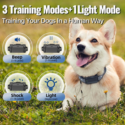 Waterproof Remote Dog Training Collar with Flashlight