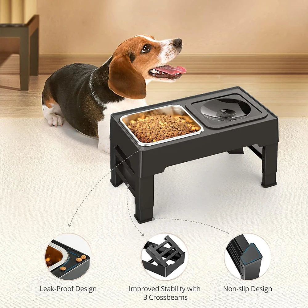 Durable Raised Pet Feeder with Stainless Steel Bowls