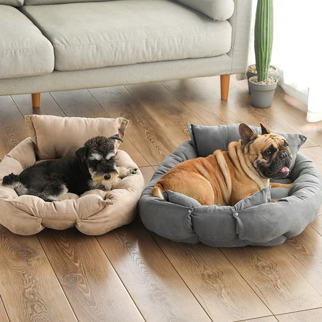 Comfortable Pet Sofa Bed for Small Dogs and Cats