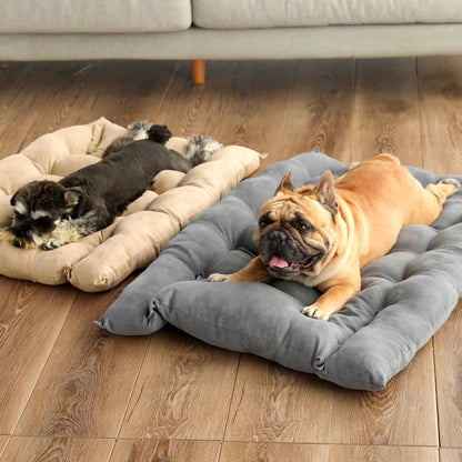 Comfortable Pet Sofa Bed for Small Dogs and Cats