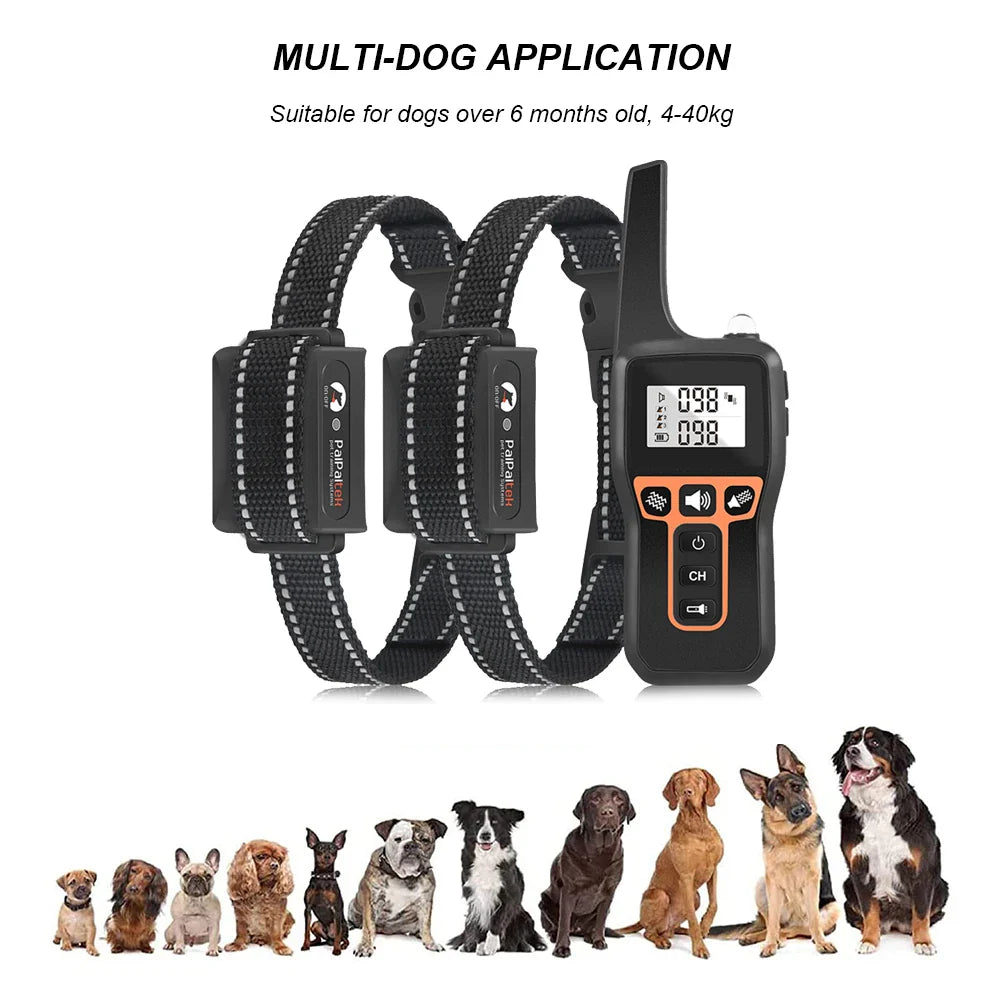 Long Range Pet Training Collar Kit
